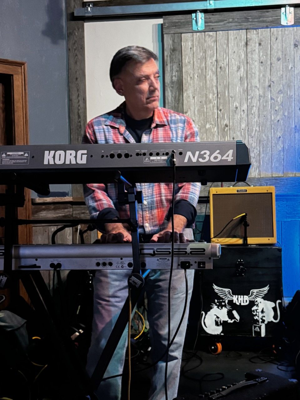 Keyboard player performing live